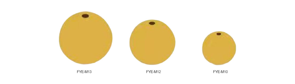 FLY YOUNG EVA FLOAT FYE-M